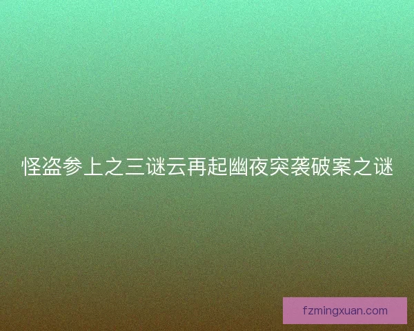 怪盗参上之三谜云再起幽夜突袭破案之谜